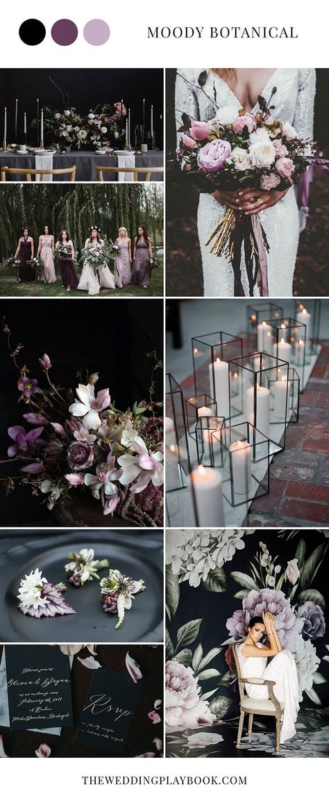 Black Purple Wedding, Dark Purple Wedding, Purple White Wedding, Moody Botanical, Purple Wedding Inspiration, Wedding Color Combos, Purple Wedding Theme, Wedding Colors Purple, Purple Wedding Flowers