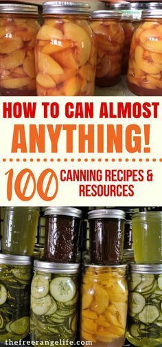 Homestead Pantry, Canning Water, Food In Jars, Canning 101, Canning Fruit, Home Canning Recipes, Canning Vegetables, Canning Food Preservation, Canned Food Storage