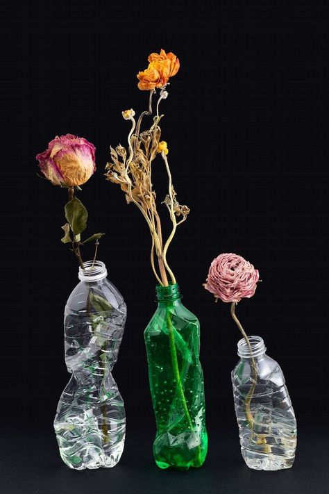 Eco Photography, Object Photography, Still Life Photos, Conceptual Photography, Plastic Flowers, Still Life Art, Bottle Vase, Vase Design, Photography Projects