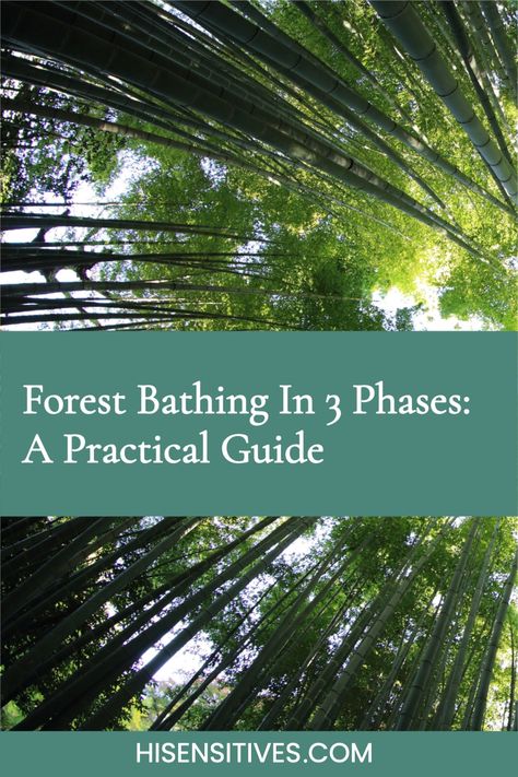 Forest bathing explained in 3 phases: In this article, Nikki explains how you can get started with forest bathing in 3 phases. forest bathing | forest bathing benefits | forest bathing how to | forest bathing japan | forest bathing nature | highly sensitive person | empath | personal growth | personal development | self care | self love | inner peace | mental health tips | feel happier | happiness Nature Bathing, Eco Therapy, Japan Forest, Nature Sketching, Horticultural Therapy, Nature Therapy, Forest Essentials, Shinrin Yoku, Nature School