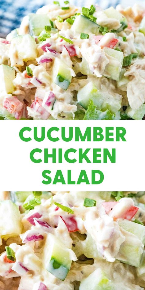 Cold Cucumber Chicken Salad {Must-Make This Summer} Everything Cucumber Salad, Cucumber Chicken Salad Sandwich, Cucumber Chicken Recipes, Diy Salads For Lunch, Chicken Cucumber Pasta Salad, Chicken Salad Recipe Cucumber, Cucumber And Chicken Salad, Meal Prep With Cucumbers, Chicken Cucumber Avocado Salad