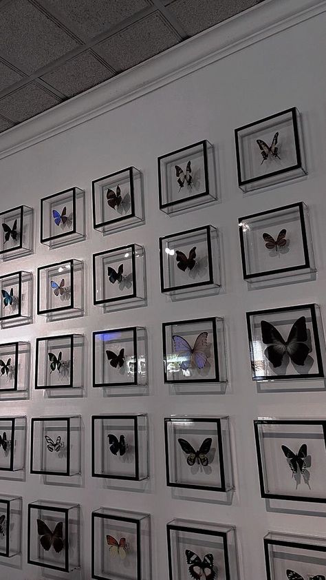 Butterflies, Wallpapers, Black And White, Wall, White, Black, Art