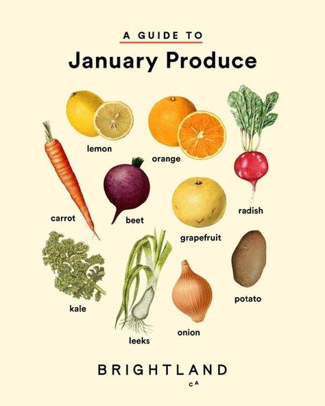 All Posts • Instagram January Produce, Best Foods For Skin, Cycling Food, Onion Leeks, Potato Leek, Potato Leek Soup, Watercolor Collection, Leek Soup, Eat Seasonal