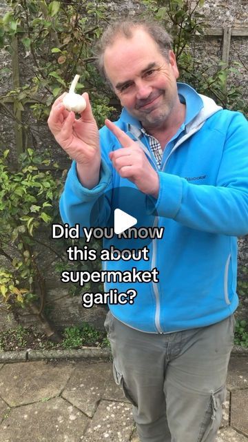 Simon Akeroyd on Instagram: "Garlic likes a cold spell prior to planting. However, if you are buying garlic ftom the supermarket now, chances are they will have been kept in a cold store. So should be fine to grow. #growgarlic   How to grow garlic from the supermarket.   I grow them like thus every year and have had great crops. It really works!  Garlic likes fertile, well-drained soil in full sun. Plant the cloves 12cm (5in) apart. Cloves should be at a depth of about 2cm below the surface. Each clove should form a new bulb with lots more cloves.  #growyourown #gardeningforbeginners #vegetablegardeningforbeginners #gardeninghacks" Garlic Growing From Cloves, Plant Garlic From Clove, Garlic Planting How To Grow At Home, Plant Garlic, Grow Garlic From Clove, Planting Garlic Cloves, Garlic Planting, Garlic Growing, Grow Garlic