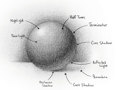 Pencil shading techniques: 5 expert tips | Creative Bloq Pencil Shading Techniques, Best Pencil, Shading Techniques, Pencil Shading, How To Shade, Create Drawing, Drawing Exercises, Still Life Drawing, Drawing For Beginners