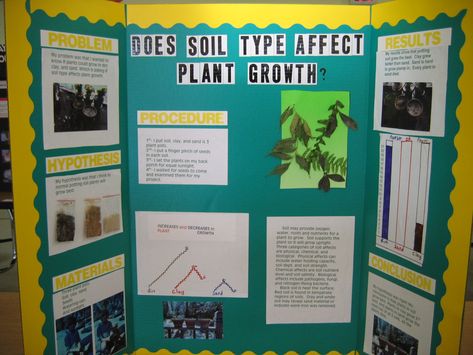 Plant Science Fair Projects Boards, Sae Projects, Plant Science Fair Projects, Plants Science Project, 4th Grade Science Projects, Plants Science Experiments, Earth Science Experiments, Elementary Earth Science, Title Idea