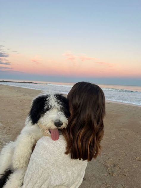 Aesthetic beach dog sunset Dogs On The Beach Photos, Dog Beach Pictures Photo Ideas, Dog Vacation Pictures, Beach With Dog Pictures, Girl And Her Dog Aesthetic, Dog On Beach Aesthetic, Beach Pics With Dog, Dog Life Aesthetic, Bernedoodle Aesthetic