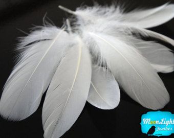 Wholesale Goose Feathers, 1/4 lb - WHITE Goose Nagoire Wholesale Feathers (bulk) : 133 Easy Baby Blanket, Getting High, White Goose, Feather Wedding, Pheasant Feathers, Feather Crafts, Wings Costume, Goose Feathers, Sewing Projects For Kids