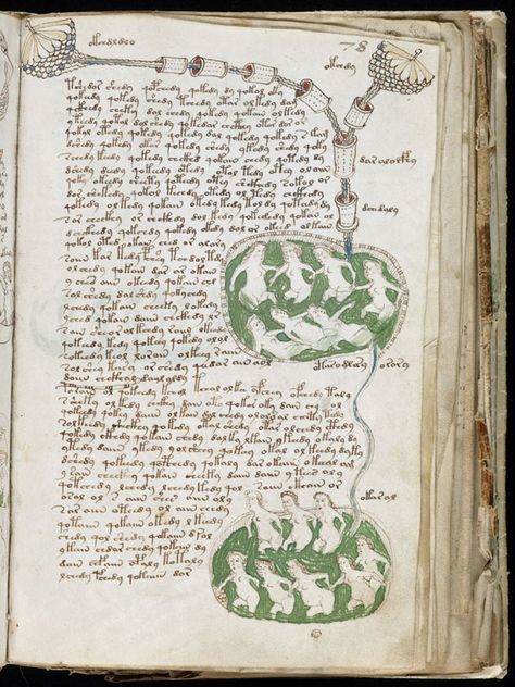 Voynich Manuscript, Occult Books, Art Brut, Illuminated Manuscript, Colorful Drawings, Rare Books, Internet Archive, Book Lovers, Vintage World Maps