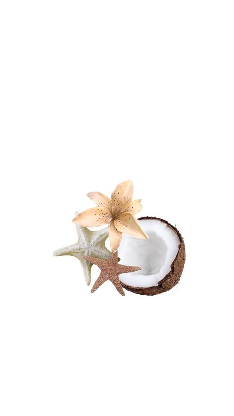 Coconut App Icon, Coconut Sticker, Coconut Wallpaper, Summer 2025, Iphone Photo App, App Icon, Cute Wallpapers, Coco, Vanilla