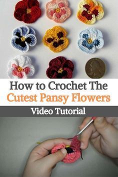 Here's another crochet flower tutorial, we love them, and we're sure you will too! Here's a step-by-step guide on how to crochet Pansy/ Irish flowers, a very popular plant in many gardens. If you don't have enough time to plant and care for any type of flower, try crocheting them instead!These cute flower details will be another lovely item to add to your blankets, hats, sweaters, and other projects for a beautiful finishing touch. Crochet Pansy Pattern, 3 D Crochet Flower Patterns, How To Connect Crochet Flowers, Pansy Crochet Pattern, Crochet Flowers With Stems, Crochet Pansy Flower Free Pattern, Crochet Pansies Free Pattern, Types Of Crochet Flowers, Crochet Flower Edge