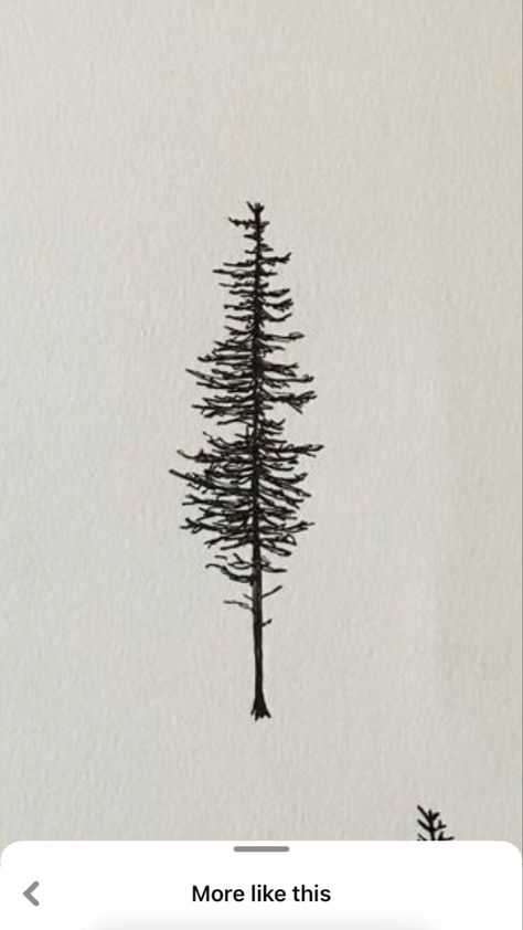 Cypress Tattoo, Cypress Tree Tattoo, Pacific Northwest Tattoo, Oregon Tattoo, Cyprus Trees, Cute Finger Tattoos, California Tattoo, Hip Thigh Tattoos, Thigh Tattoos