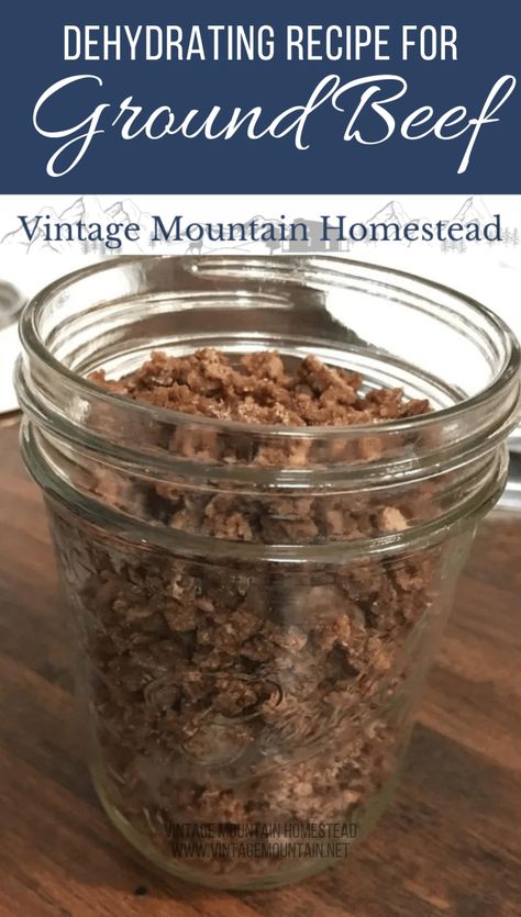 Hiking Meals, Dehydrating Food Storage, Food Dehydration, Hiking Food, Vintage Pumpkin, Dehydrated Fruit, Meat Snacks, Dehydrated Food, Food Saver