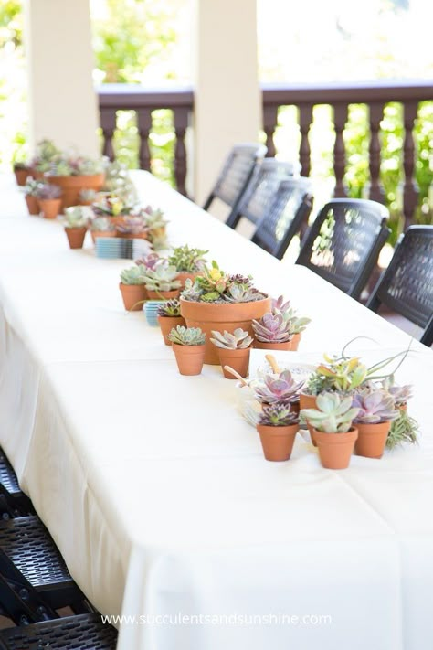 Natural Wedding Centerpieces, Succulent Wedding Table, Succulent Corsage, Wedding Succulents, Succulent Wedding Decor, Succulent Wedding Centerpieces, Succulent Wedding Favors, Simple Wedding Flowers, Potted Succulents