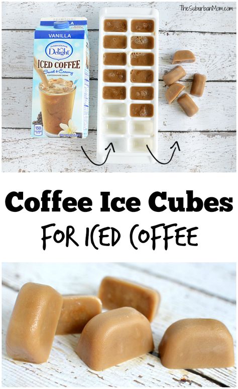 Diy Iced Coffee, International Delight Iced Coffee, Ice Cube Tray Recipes, Ice Cube Recipe, Flavored Ice Cubes, Coffee Protein Shake, Coffee Diy, Coffee Ice Cubes, Making Cold Brew Coffee