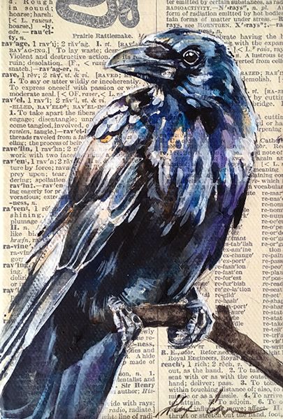 Wildlife Paintings, Old Book, Book Page, A Tree, Blue Bird, Paintings, Illustrations, Blue, Design