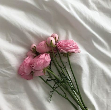 Serendipity Aesthetic, Aesthetic Magazine, Soft Pink Theme, Toenail Polish, Luxury Flowers, Different Flowers, Nature Aesthetic, Flower Wallpaper, Pink Aesthetic