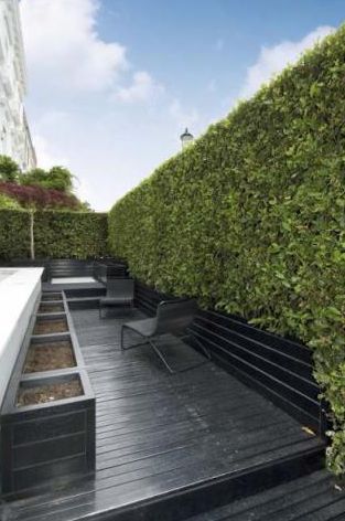 Habitually Chic® » Tom’s Townhouse London Residence, Black Deck, House Pictures, Deck Paint, Staining Deck, London House, Town House, Garden Pathway, Deck Garden