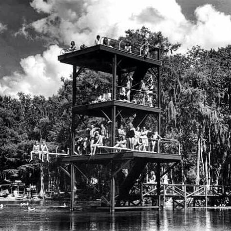 Wakulla Springs -- the old dive tower Wakulla Springs, Florida Vintage, Florida Springs, Places In Florida, Springs Florida, Florida City, Florida Girl, Atlantic Beach, Visit Florida