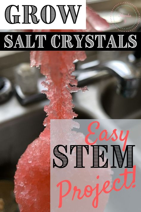 Need a great, easy STEM project to do with your kids while at home? Make salt crystals from Epsom salt! It takes very little equipment and ingredients, and it makes an impressive end product!! #STEM #homeschooling Pipe Cleaner Crystals With Salt, Salt Crystal Experiment, Making Crystals With Kids, Epsom Salt Crystals, Crystals For Kids, Make Crystals, Easy Stem, Stem Experiments, Growing Crystals