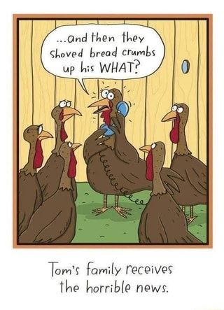 Thanksgiving Comics Funny, Thanksgiving Comics, Funny Turkey Pictures, Funny Thanksgiving Images, Funny Thanksgiving Pictures, Thanksgiving Jokes For Kids, Turkey Jokes, Happy Thanksgiving Funny, Church Jokes