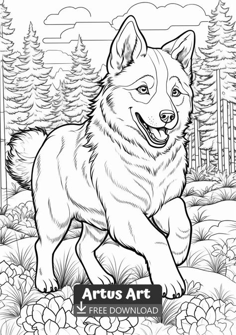 Husky Coloring Page For Kids - Free PDF Download Coloring Page. #huskycoloringpage #huskycoloringpageforkids #husky Wolf Coloring Pages, Wolf Colors, Shark Coloring Pages, Bunny Coloring Pages, Pumpkin Coloring Pages, Spring Coloring Pages, Horse Coloring Pages, Wolf Drawing, Dog Coloring Page