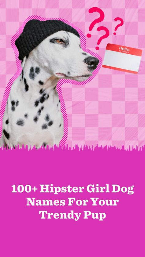 The Dodo put together a list of the best hipster girl dog names for your cool pup. Girl Dog Names, Hipster Girl, Hipster Girls, Girl Dog, Girl And Dog, New Puppy, Dog Names, Put Together, Funny Animals