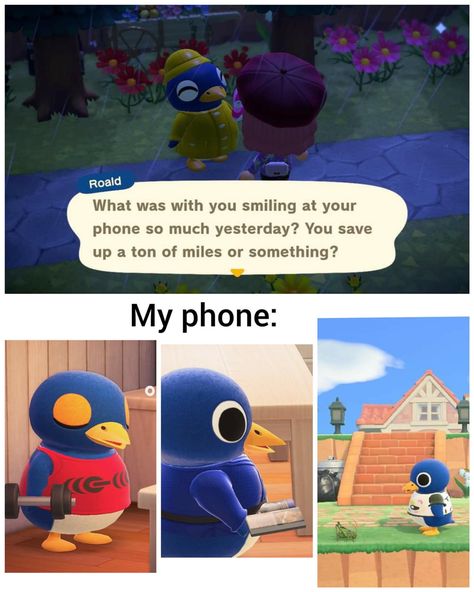 Roald Animal Crossing, Too Attached, Animal Crossing Funny, Animal Crossing Fan Art, Animal Crossing Memes, Animal Crossing Characters, Creative Games, New Animal Crossing, Animal Crossing Game