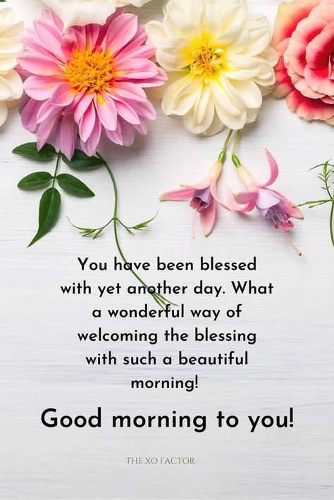 You have been blessed with yet another day. What a wonderful way of welcoming the blessing with such a beautiful morning! Good morning to you! Good Morning Have A Lovely Day, Good Morning Spiritual Quotes Thoughts, Good Morning Greetings Blessings, Good Morning Blessings Prayer, New Good Morning Quotes Motivation, Good Morning Blessings Inspiration, Blessed Day Quotes, Blessed Day Good Morning, Inspirational Morning Quotes