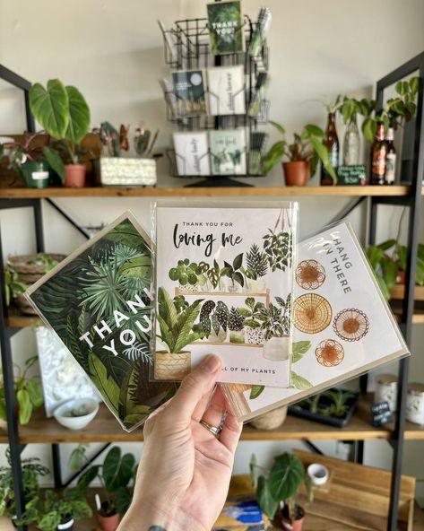 We’re excited to showcase these beautiful cards from one of our amazing small business vendors! Add a special touch to your plant gift with one of these lovely cards from paperanchor.co. Whether it’s a thank you, condolence, congratulations, or birthday card, we have the perfect option to complement your thoughtful gift. 🌱✨ At Rooted Plant Co., we pride ourselves on partnering with fellow small businesses who pour their heart and soul into their work, just like we do. When you choose to su... Business Vendors, Plant Business, Plant Styling, Plant Accessories, Thank You For Loving Me, Plant Gift, Robert Plant, Beautiful Cards, Win Prizes