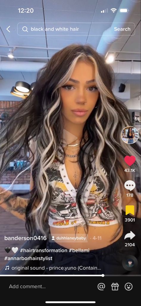 Silver Money Peice Hair, Black And Under Blonde Hair, Halo Hair Color Ideas For Brunettes, Black Hair With Blonde Face Frame, Crown Hair Color Ideas, Dark Hair W Blonde Highlights, Skunk Money Piece, Black Hair With Blonde Tape Ins, Wispy Bangs With Blonde Highlights