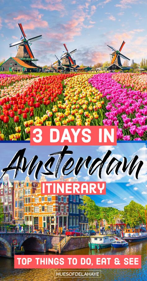 Make the most of your 3 days in Amsterdam itinerary with this ultimate guide to the city's top attractions and experiences. Wander through the colorful streets of the Jordaan neighborhood, relax in the beautiful Vondelpark, and discover the city's thriving art scene at the Stedelijk Museum, these are the best attraction in Amsterdam. This comprehensive itinerary covers the best things to do in Amsterdam Netherlands. Amsterdam in 3 days, 72 hours in Amsterdam 3 Days In Amsterdam, Amsterdam Weekend, Denmark Vacation, Amsterdam Vacation, Amsterdam Attractions, Amsterdam Itinerary, Trip To Amsterdam, Amsterdam Travel Guide, Things To Do In Amsterdam