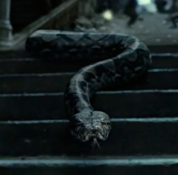 Nagini | Harry Potter Wiki | Fandom powered by Wikia Deatheater Aesthetic, Serpentine Valentine, Nagini Harry Potter, Phoenix Harry Potter, Rabastan Lestrange, Dark Harry, Dark Academic, Harry Potter Wiki, Deathly Hallows Part 1