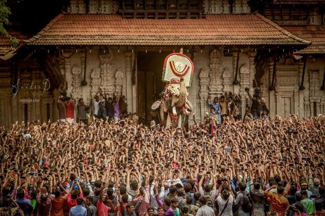 Thrissur pooram is celebrated once a year in Thrissur district,Kerala,India at Vadakumnathan Temple. Thrissur Pooram Photography, Thrissur Pooram, Broken Screen Wallpaper, Broken Screen, Kerala India, Screen Wallpaper, Kerala, A Year, Temple