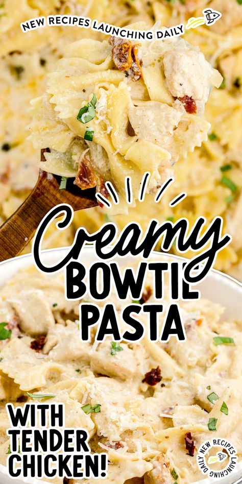 Mini Farfalle Recipes Pasta Dishes, Chicken And Bowtie Pasta Recipes, Bowtie Pasta Recipes Easy, Chicken Bowtie Pasta Recipes, Creamy Bowtie Pasta, Bowtie Pasta Recipe, Bowtie Pasta Recipes, Bow Tie Pasta Recipes, Chicken Bowtie Pasta