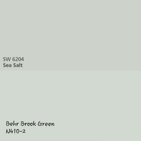 While they may look slightly different on the screen when compared in person they are identical. Behr Brook Green, Sw Sea Salt, Paint Color Combos, Indoor Paint, Brook Green, House Color Palettes, Farm House Colors, Behr Paint, Living Room Update