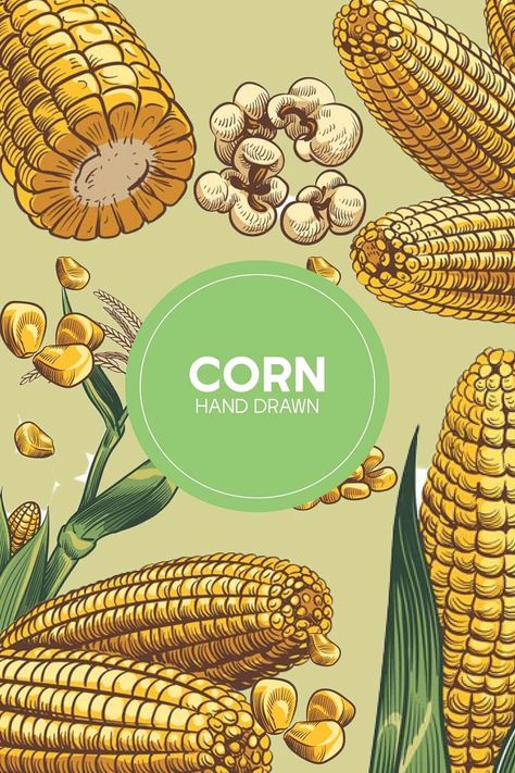 Hand Drawn Corn. Cereal Maize Plants, Corn Cob and Grains Ve Description More information on this Design Hand drawn corn. Cereal maize plants, sweet corn cob and grains vegetarian food, design for fast food packaging, menu poster, banner sketch i... Corn Poster Design, Corn Illustration Drawings, Corn Illustration Design, Corn Sketch, Corn Poster, Banner Sketch, Corn Illustration, Maize Plant, Fast Food Packaging