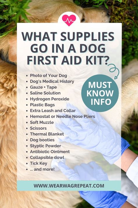 This list is something I was provided with when I got certified by PetTech in Pet First Aid and CPR. I took this class in person at our local animal shelter and highly recommend it to other dog owners. The 24 essential first aid items in the list below will help you take care of your own pet or someone else’s in case of an injury or emergency. The last thing you want is for something bad to happen to your dog and to feel unprepared and helpless. Dog Cpr Printable, First Aid Kit For Dogs, Dog First Aid Kit, Pet Emergency Kit, Dog First Aid, Mom Must Haves, Dog Accesories, Dog Booties, Dog Remedies