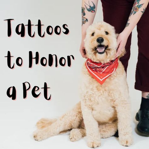 Sweet Ideas for Pet Memorial Tattoos - TatRing In Memory Of Dog Tattoo, Paw Print Tattoo Dog Memories, Tattoo Ideas Dog In Memory Of, Pet Tribute Tattoo, Meaningful Dog Tattoos, Sheltie Tattoo, Memorial Dog Tattoos, Dog Memorial Tattoos Unique, Dog Remembrance Tattoo