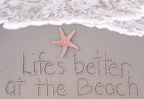 Life's Better At The Beach - For Shore! Jersey Shore, By The Sea, Starfish, At The Beach, The Sea, Life Is, The Beach