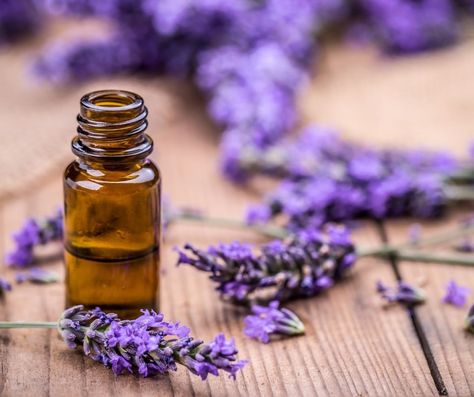 Relaxing Homemade Lavender Cream To Help You Sleep - Hispana Global Lavender Benefits, Growing Lavender, Diy Kosmetik, Lavender Farm, Oil Benefits, Best Essential Oils, Dried Lavender, Aromatherapy Diffusers, Natural Treatments