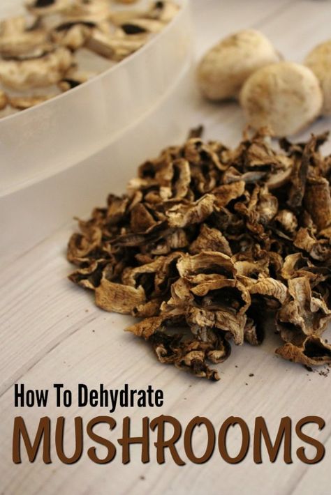 How To Dehydrate Mushrooms In Dehydrator, How To Dehydrate Mushrooms, Dehydrating Mushrooms In Dehydrator, Dehydrate Mushrooms, Dehydrate Mushrooms In Air Fryer, Dehydrating Mushrooms, Dehydrating Food Storage, Shitake Mushroom, Dried Mushrooms