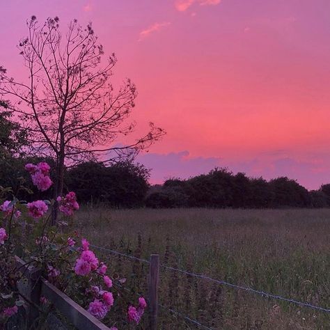 Make Yourself Happy, Sky Pictures, Look At The Sky, Pretty Landscapes, Pink Sunset, Pretty Sky, Spring Aesthetic, Sunset Pictures, Aesthetic Images