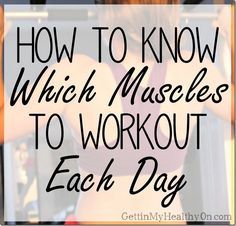 Muscles To Workout, Weight Lifting Schedule, Weight Training Schedule, Weight Lifting Routine, Lifting Workouts, Weight Lifting Workouts, Training Schedule, Weight Lifting Women, Workout Schedule