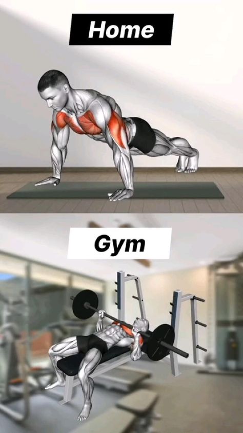 💪 Ready to level up? Tap the link for more! 😁🙂 Gym Push Day, Gym Back Workout, Gym Workout Guide, Push Workout, Workout Program Gym, Bodybuilding Workouts Routines, Best Gym Workout, Push Day, Gym Workout Planner