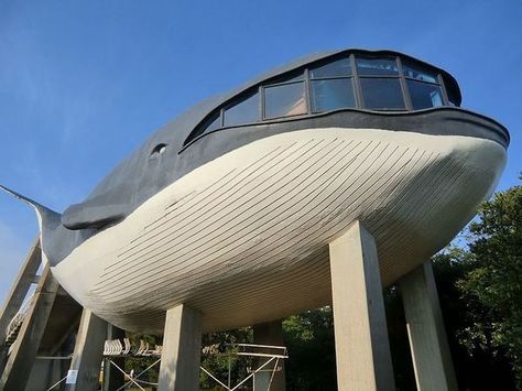 WHALE BUILDING    Simonoseki, Japan Imaginary Architecture, Strange Buildings, Unusual House, Architecture Unique, Interesting Architecture, Unusual Buildings, Mexico Hotels, Unusual Homes, Unique House Design