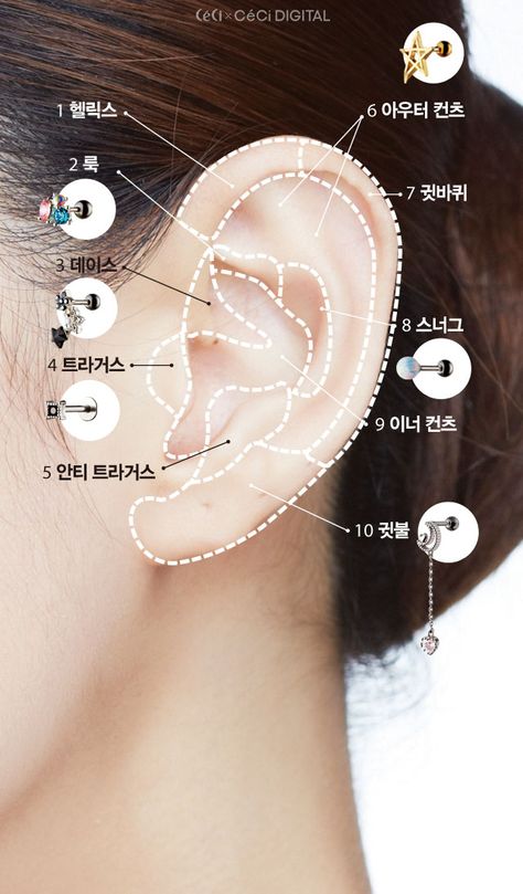 Ear Piercings Locations in Korean >.< Korean Piercings, Ear Piercings Korean, Piercings Locations, Korean Ear Piercing, Asymmetrical Ear Piercings, Piercing Locations, Ear Piercings Conch, Ear Piercings Chart, Piercing Chart