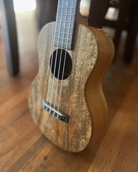 My uncle @jar032 got me a new ukulele, looks like I’m gonna start learning the instrument again, and show my progress! #musician #music #ukulele #family My Uncle, Ukulele, Show Me, Musician, Music, Quick Saves