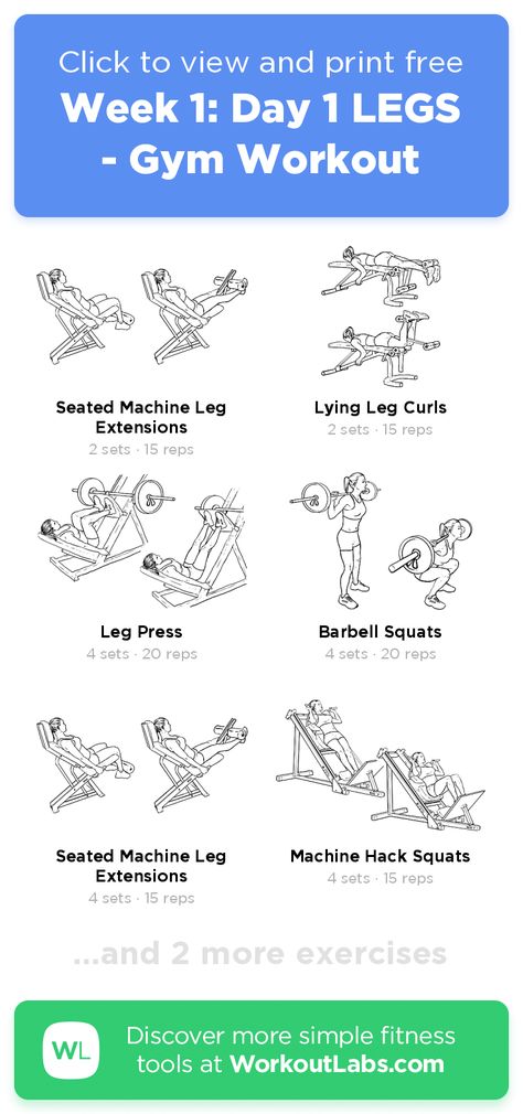 Let Workout Gym, Gym Work Out Routines For Women, Leg Work Out Gym For Women, Leg Exercises For Women Gym, Begginers Gym Workout Plan, Legs Workout Women Gym, Work Outs For Women Gym, 3 Day Gym Workout Plan, Gym Leg Workout For Women Machines