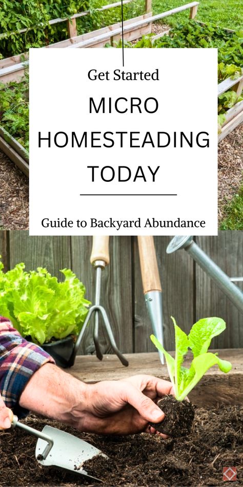 Start homesteading today with this guide to micro homesteading! This beginner-friendly resource covers urban homesteading essentials like small-space gardening, composting, and sustainable backyard ideas. Perfect for city dwellers, this guide helps you create a self-sufficient homestead no matter where you live. Save this pin for practical tips on starting your urban homestead journey. Homesteading In Michigan, Home Steading For Beginners, Homesteading Essentials, Micro Homesteading, City Homesteading, 1 Acre Homestead Layout, Sustainable Backyard, Start Homesteading, Self Sufficient Living